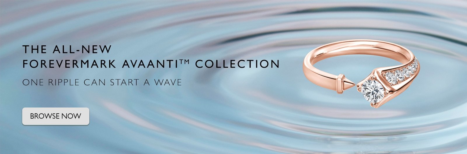 FM-Avaanti_LEC-homepage-banner_1600x530px_rev1